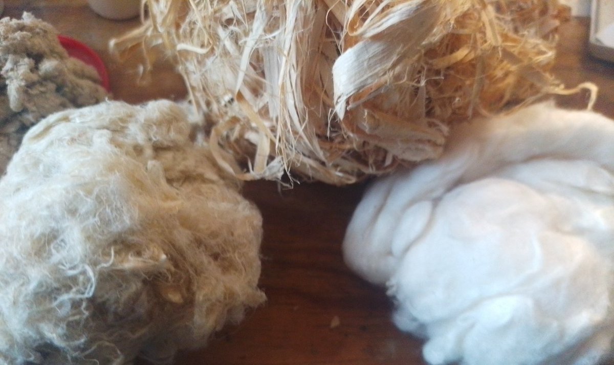 Fibra de algodón (derecha) y fibra de cañamo (izquierda). Fibra de cañamo secado a la sombra, obtenida y trabajada a mano, aún no tan suave como el algodón pero esa suavidad buscamos.
La fibra de cáñamo es resistente y con propiedades térmicas.