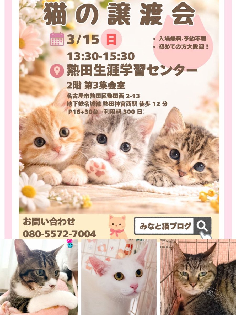 #拡散RPお願いします 
猫のお家探しにご協力ありがとうございます

【猫の譲渡会】
•3月15日(日)13:30-15:30
•名古屋市熱田生涯学習センター

個性豊かなネコたちがたくさん参加❣️

「まずは見てみたい」
「保護猫について知りたい」
という方も大歓迎です
お気軽にお越しください

#保護猫譲渡会