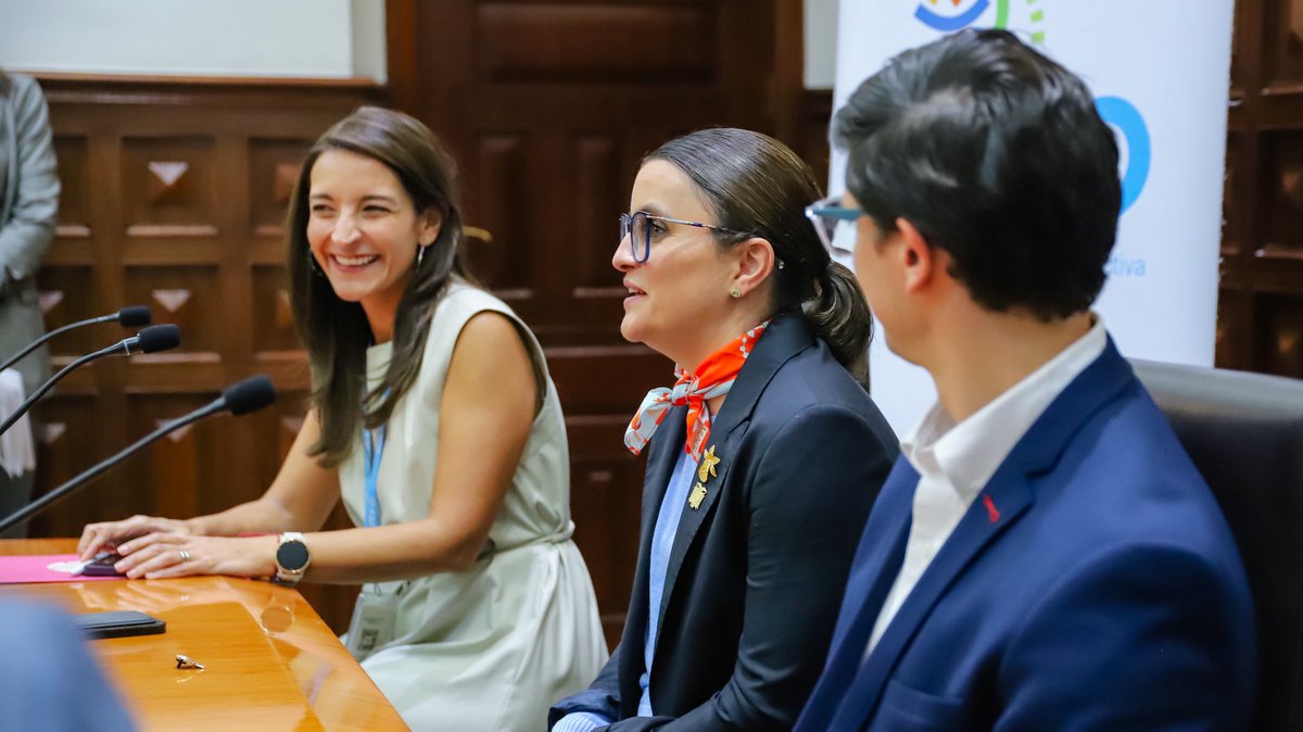 Vicepresidencia tweet media