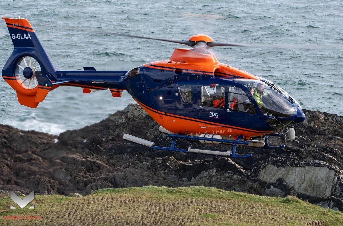 Nucflash tweet media