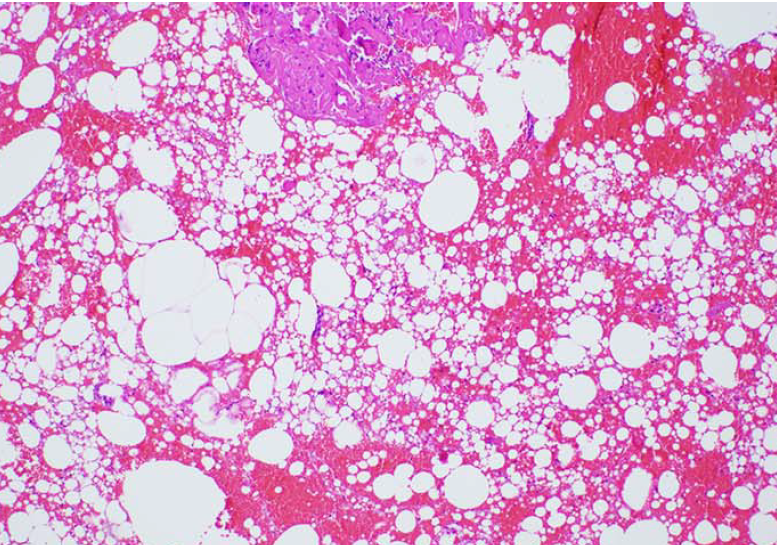 Janira Navarro tweet media