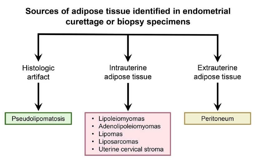 Janira Navarro tweet media