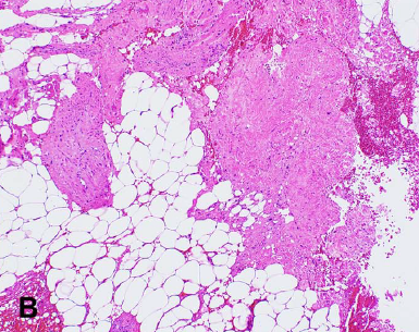 Janira Navarro tweet media