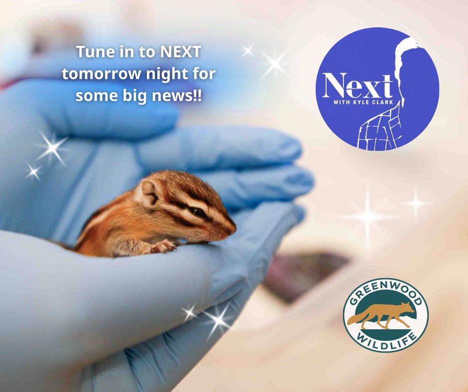 Greenwood_CO's tweet photo. We are thrilled to announce that #GreenwoodWildlife and the #RockyMountainRaptorProgram have been selected as the co-recipients of the latest #WordofThanks campaign on #NextwithKyleClark on #9NewsDenver!!
https://t.co/K573bDIWpD
#ColoradoWildlife #SupportLocalWildlife #Denver https://t.co/3gvEzz3oIS