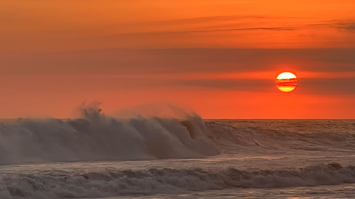 Temporada de alas y de olas.