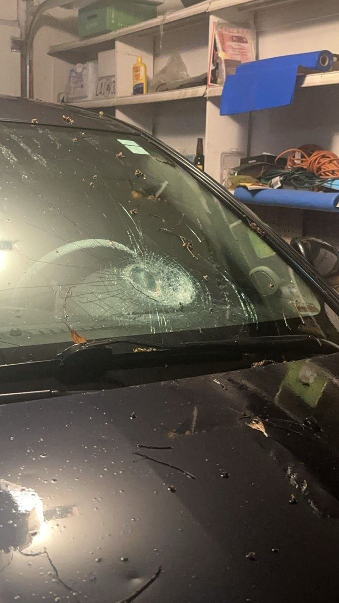 KCTV5 News tweet media