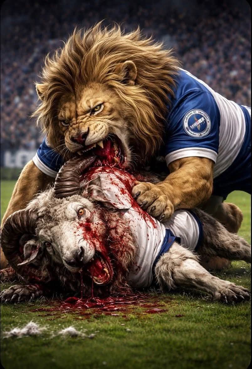 James Cole tweet media