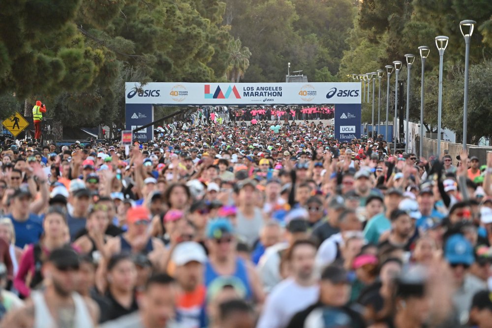 David Monti 🥑 tweet media