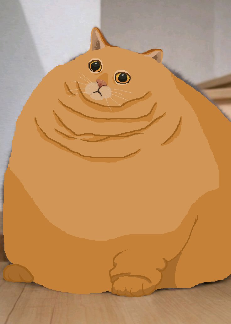 RexFloww tweet media