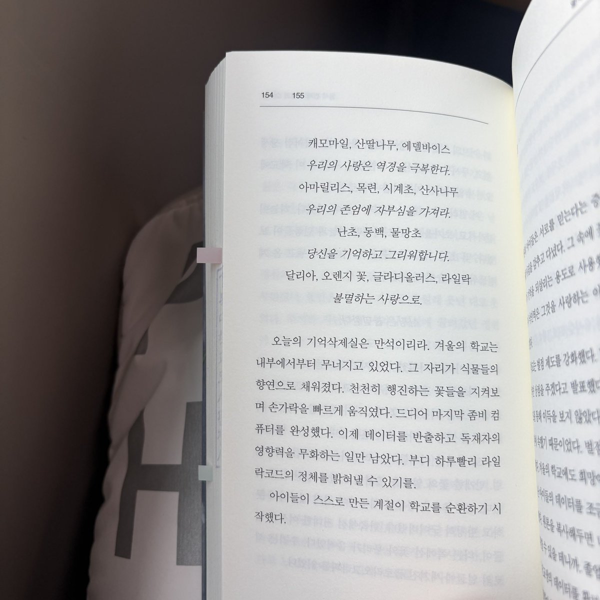 시저 tweet media