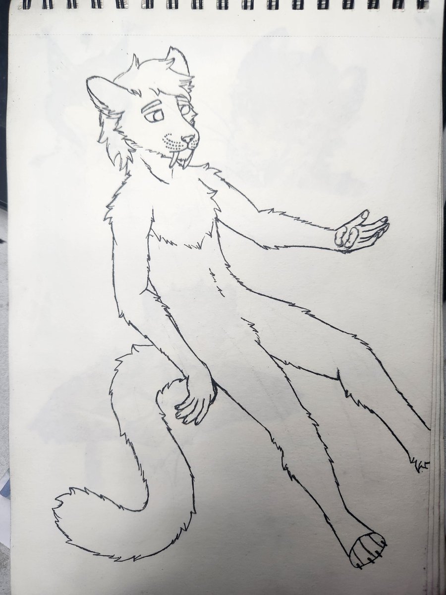 Tayson_Gato tweet media