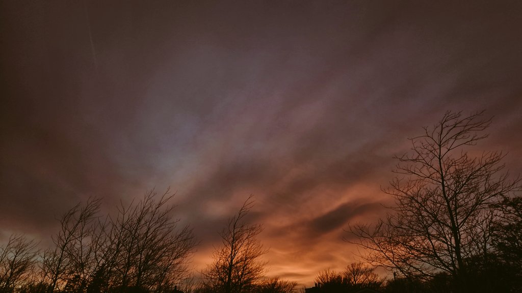 Corbin by the Coast 🇨🇦 tweet media