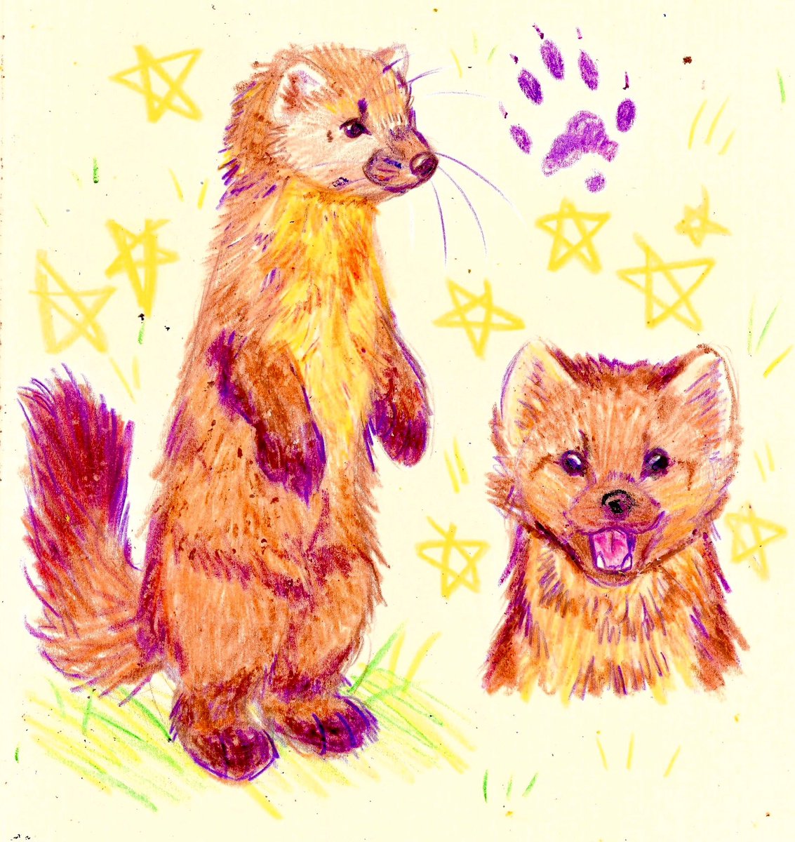 Myles 🥝SHOP OPEN tweet media