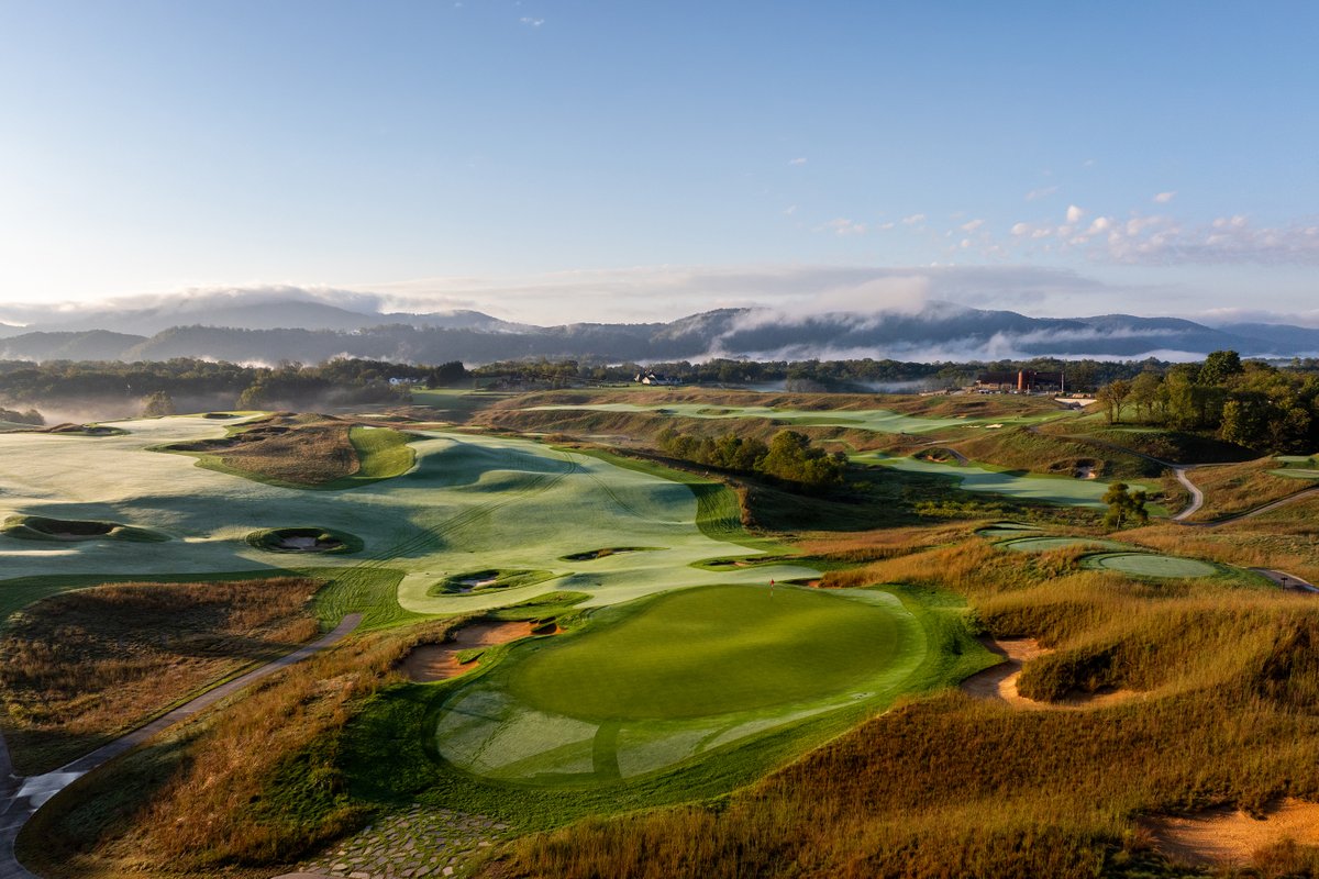 Dormie Network tweet media