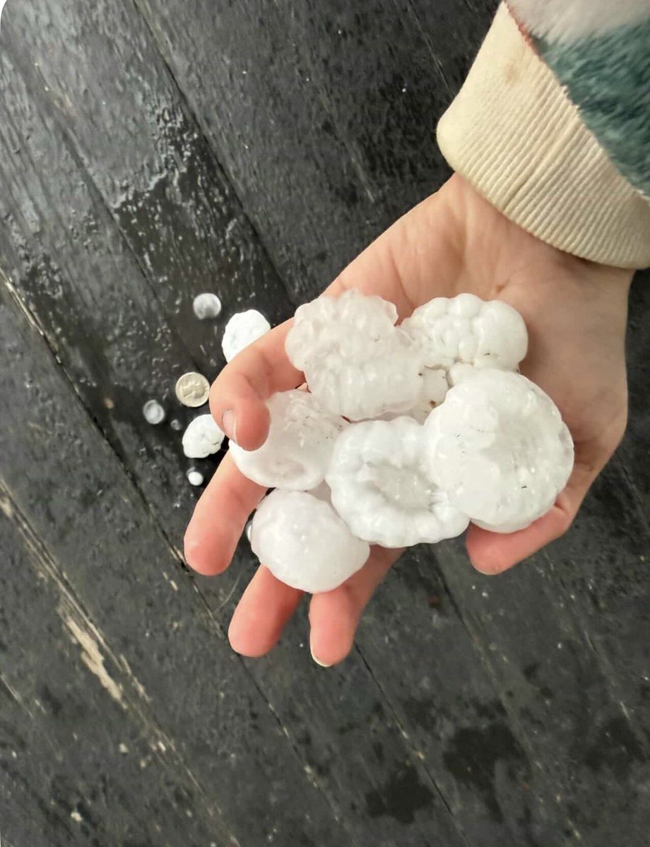 Andy Pasztor 🧼🧽 tweet media