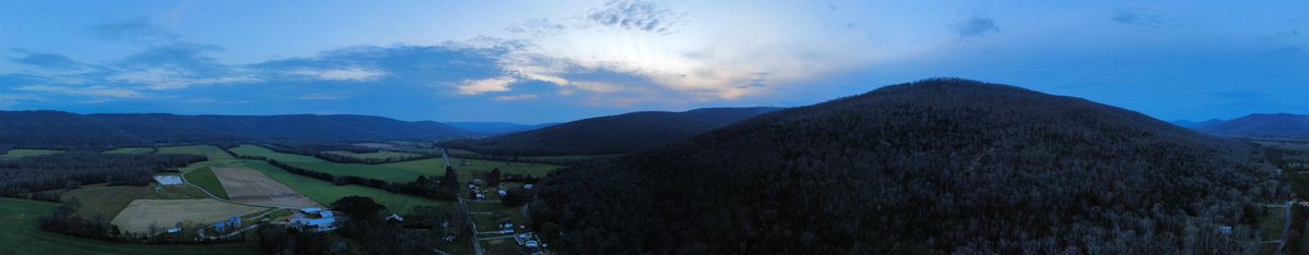 Daniel Harbin tweet media