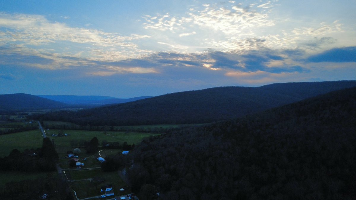 Daniel Harbin tweet media