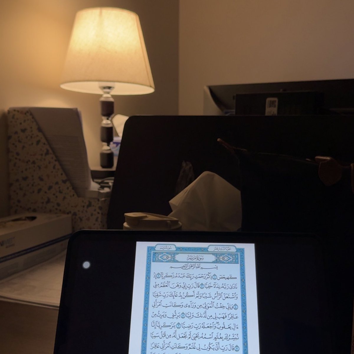 بَتول tweet media