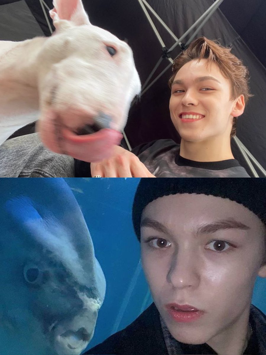 i love whatever this genre of vernon picture is