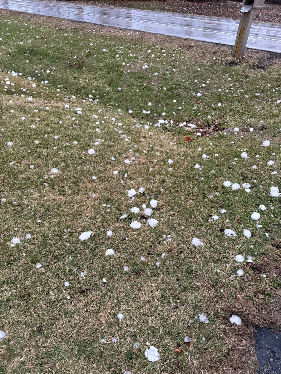 Savanna Brito tweet media