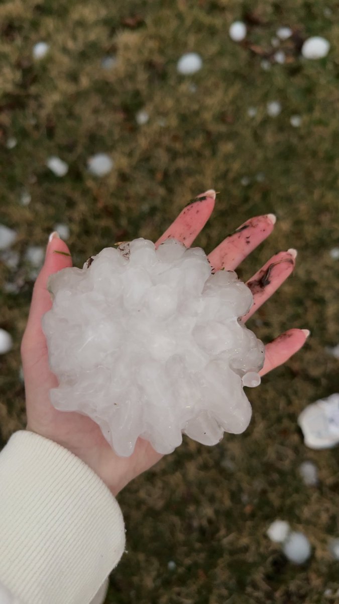 Savanna Brito tweet media