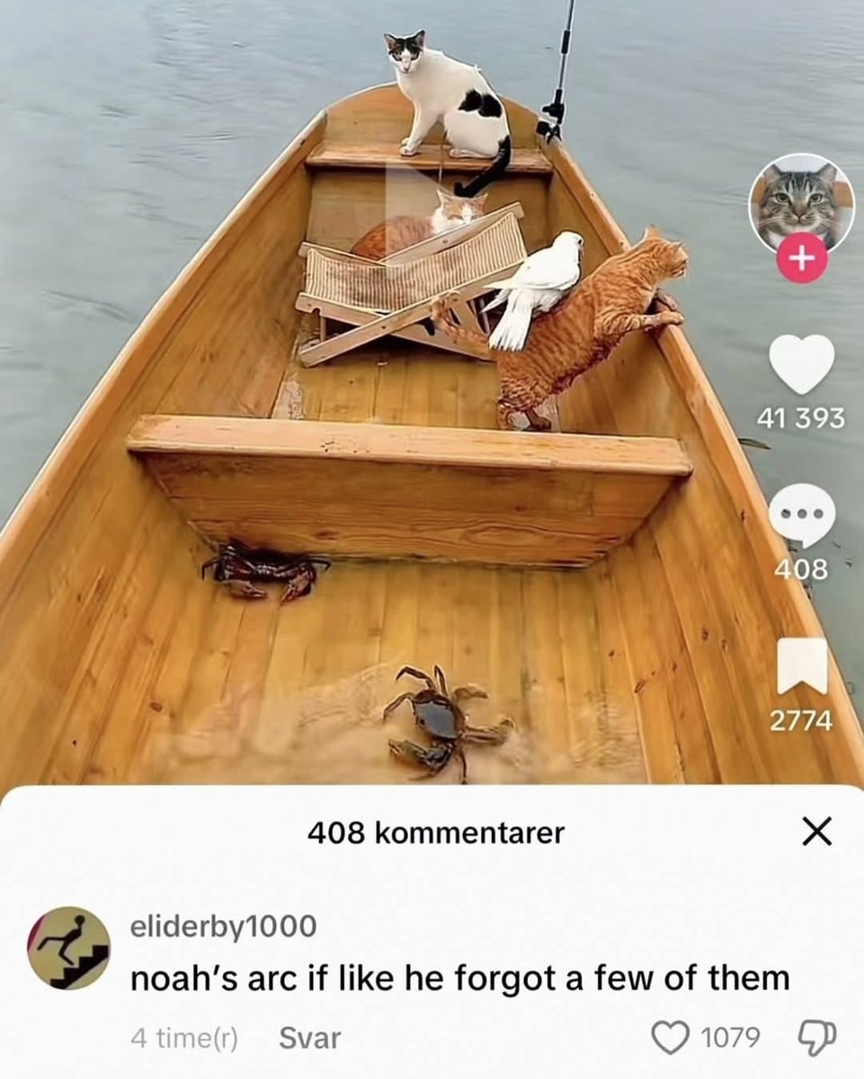 Wild Sentences (@wildsentences) on Twitter photo 