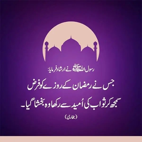 __SZ22's tweet photo. انشاء اللہ ✨ https://t.co/3Rfm0tWhrj