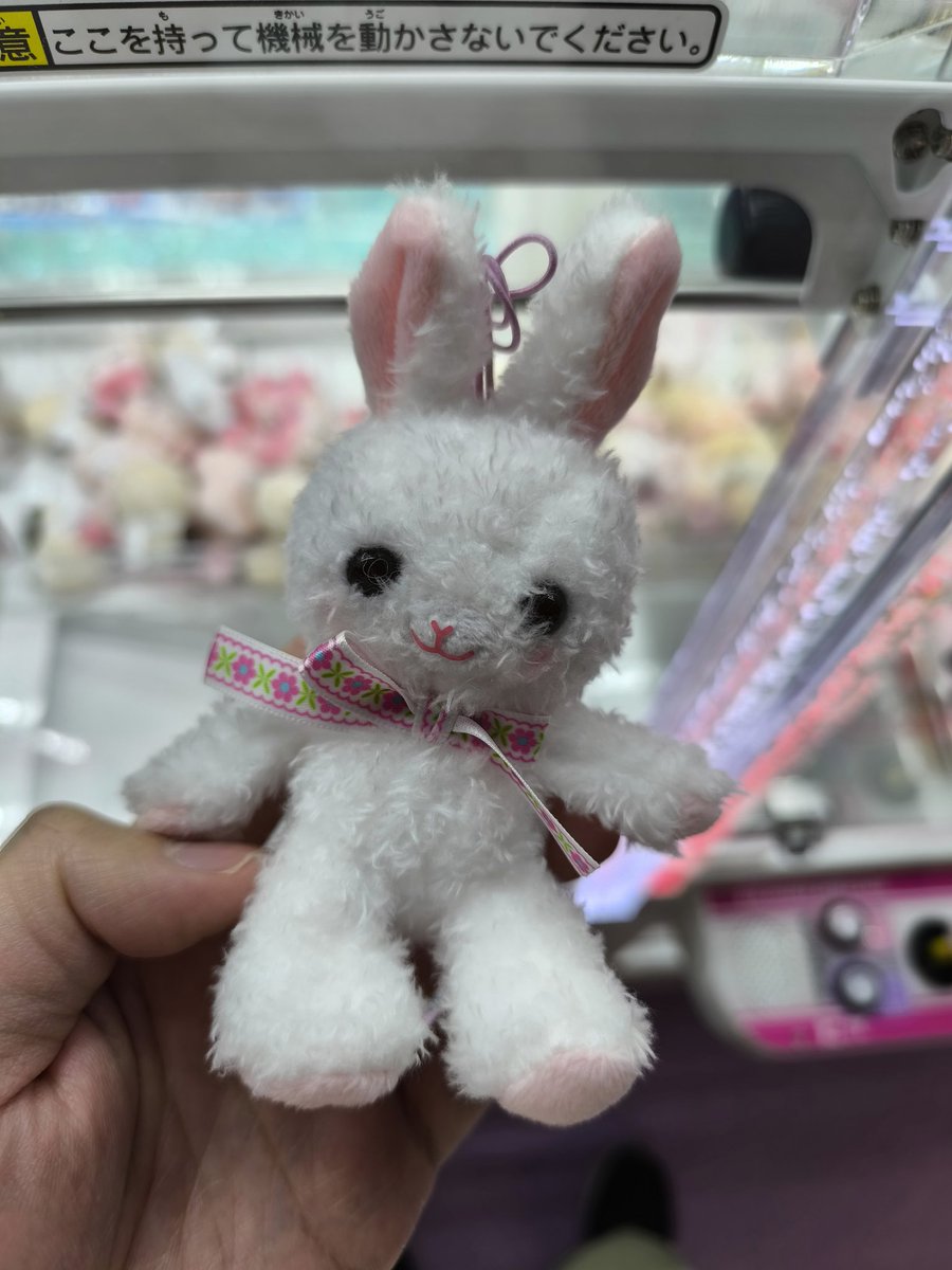 albi ♂⭐️MAID VTUBER & SUPPORTER⭐️Love-Chu!💖 tweet media