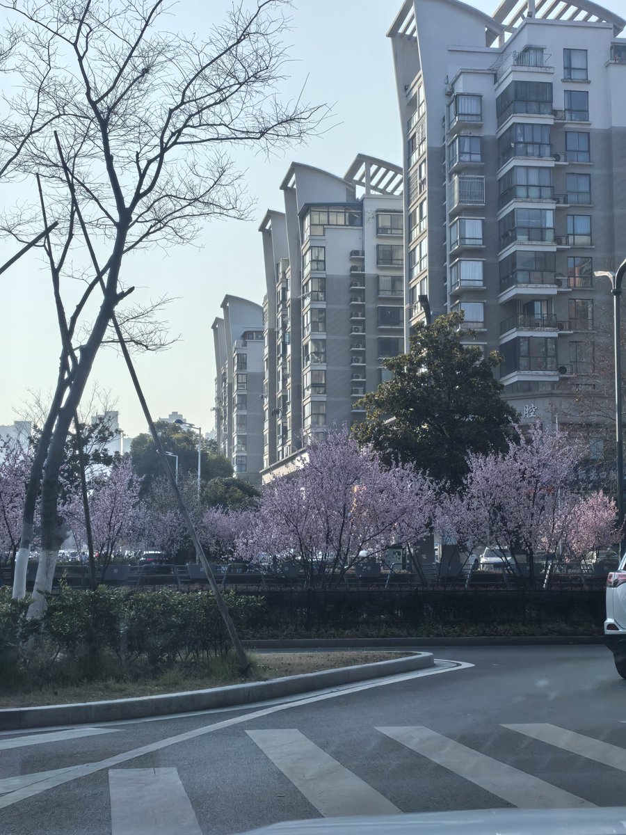 vv hou（互fo） tweet media