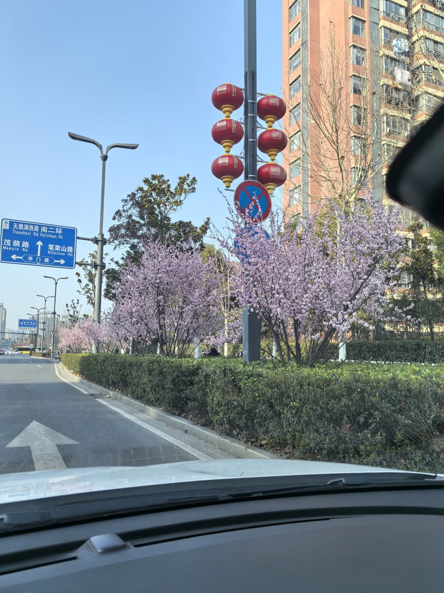 vv hou（互fo） tweet media