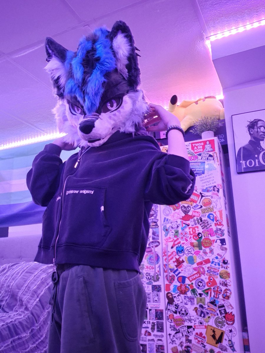 Cinix 💎 🔜 TFF tweet media