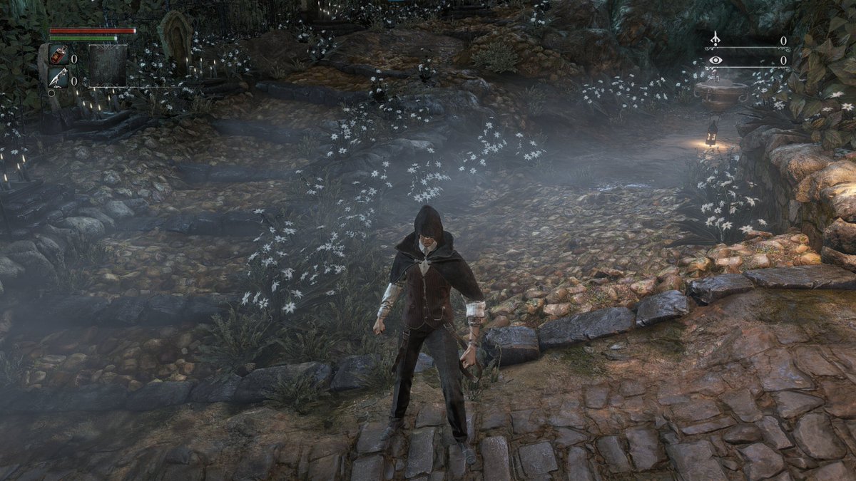 DizzyFi 🌊 tweet media