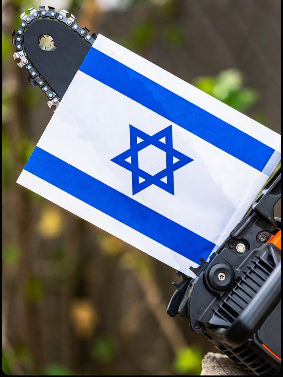 Seth Kennedy✌️💙🌎 tweet media