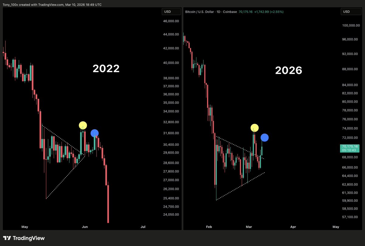 Magoo PhD tweet media