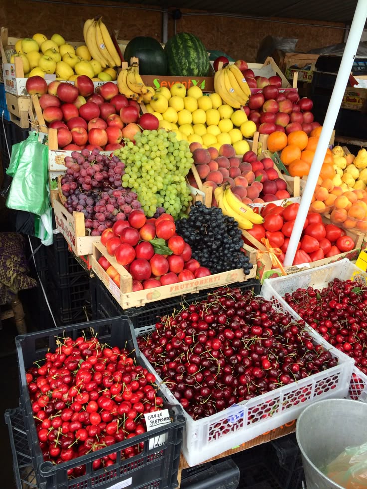 Which one is your favourite fruit?