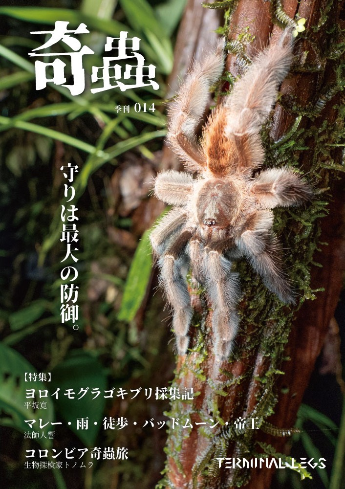 生物探検家トノムラ tweet media