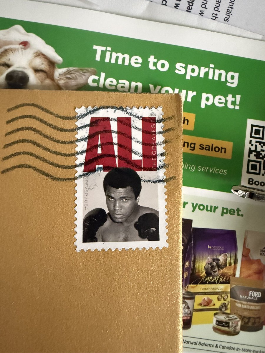 Fiocca_cola's tweet photo. Ali: Runtime 159 minutes

@OCATCOfficial #Ali #oscarfever #oscarspecial https://t.co/efp0Pexucp