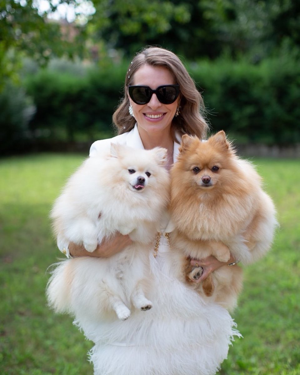 Mia334698's tweet photo. A beautiful day, a peaceful moment, and my two little friends. Can you guess which dog is the girl and which is the boy? https://t.co/dgXosQSZnY