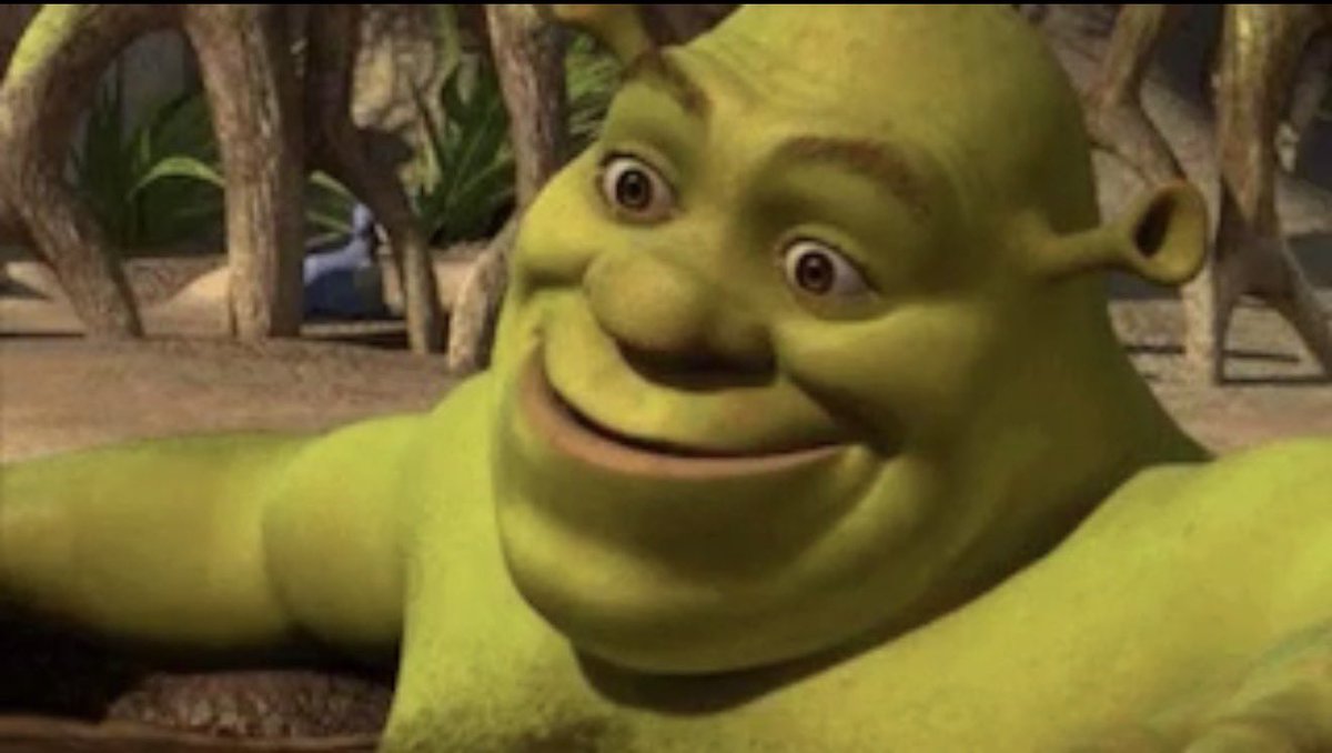 Drew🦁 tweet media