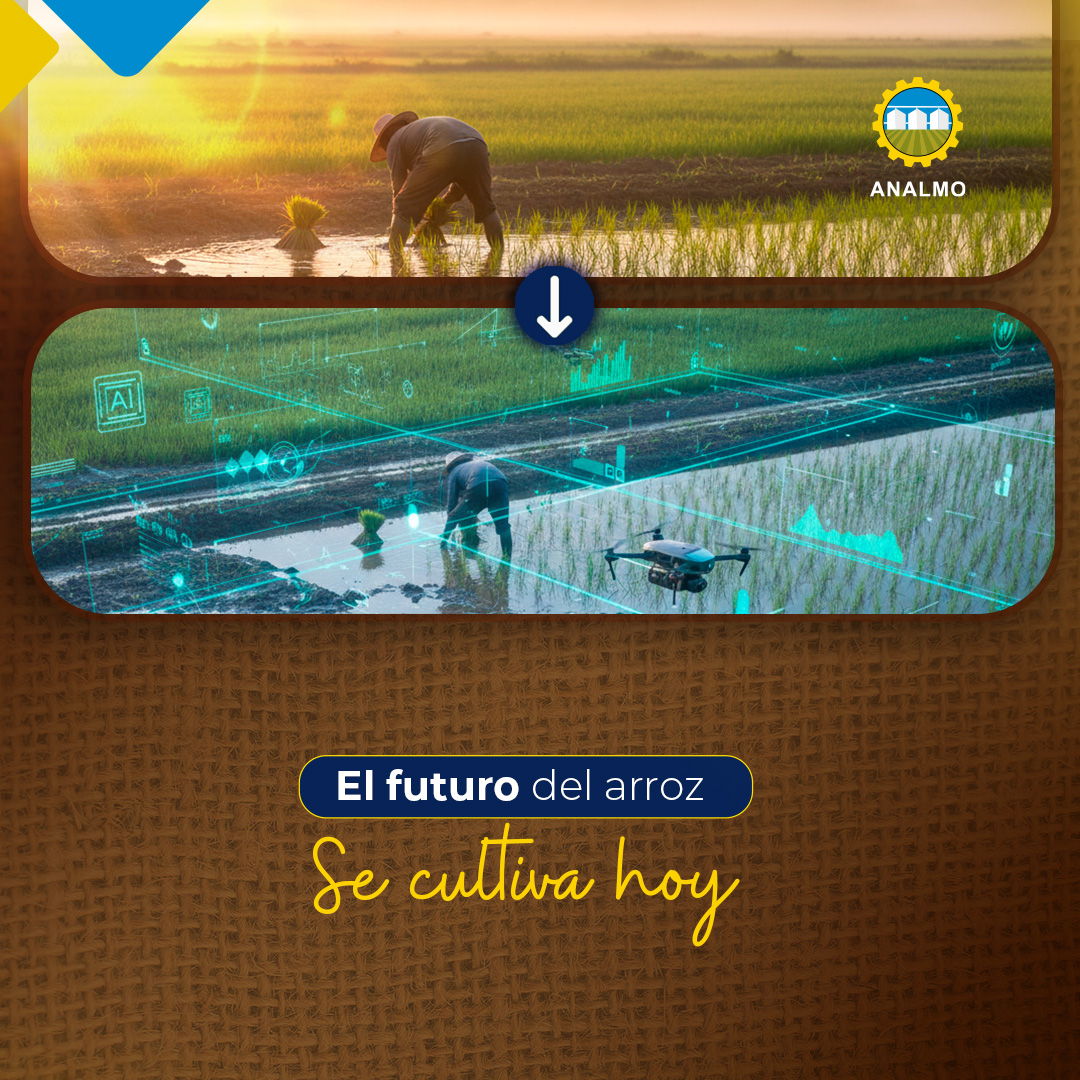 Asociación de Molineros de Panamá tweet media