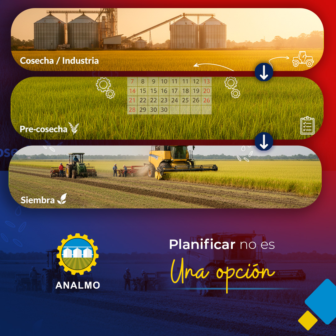 Asociación de Molineros de Panamá tweet media