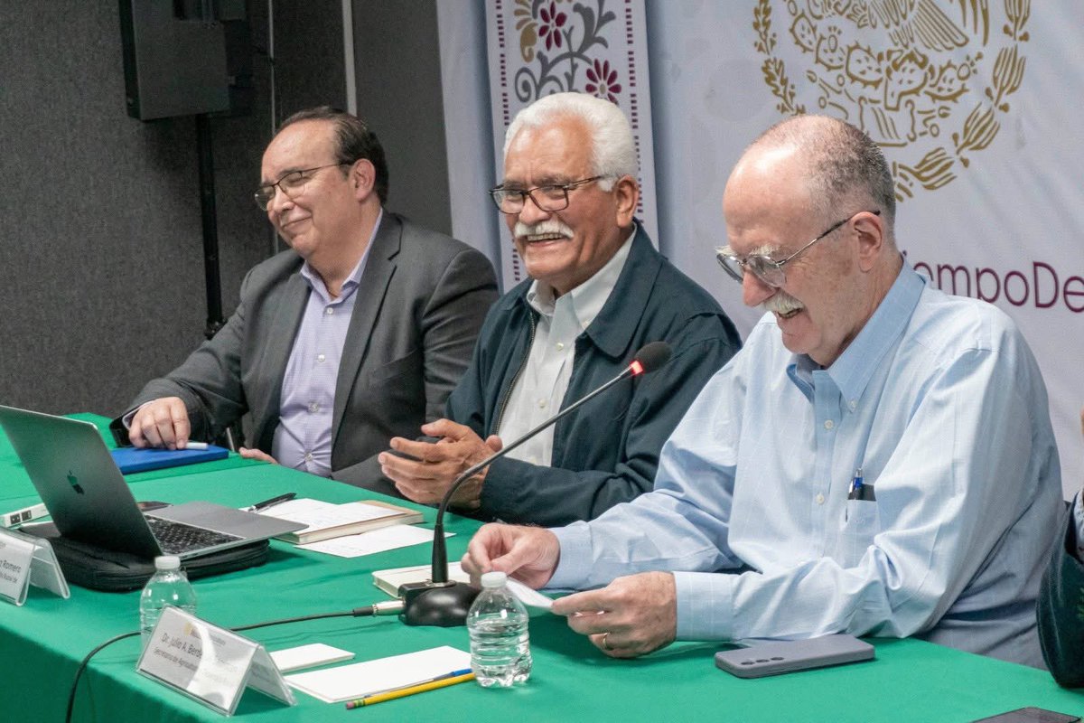 Sader Michoacán tweet media