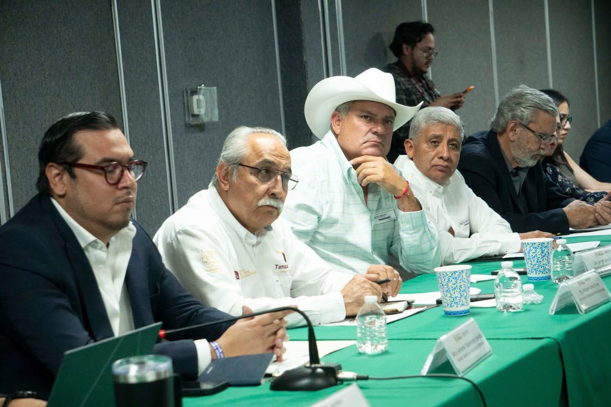 Sader Michoacán tweet media