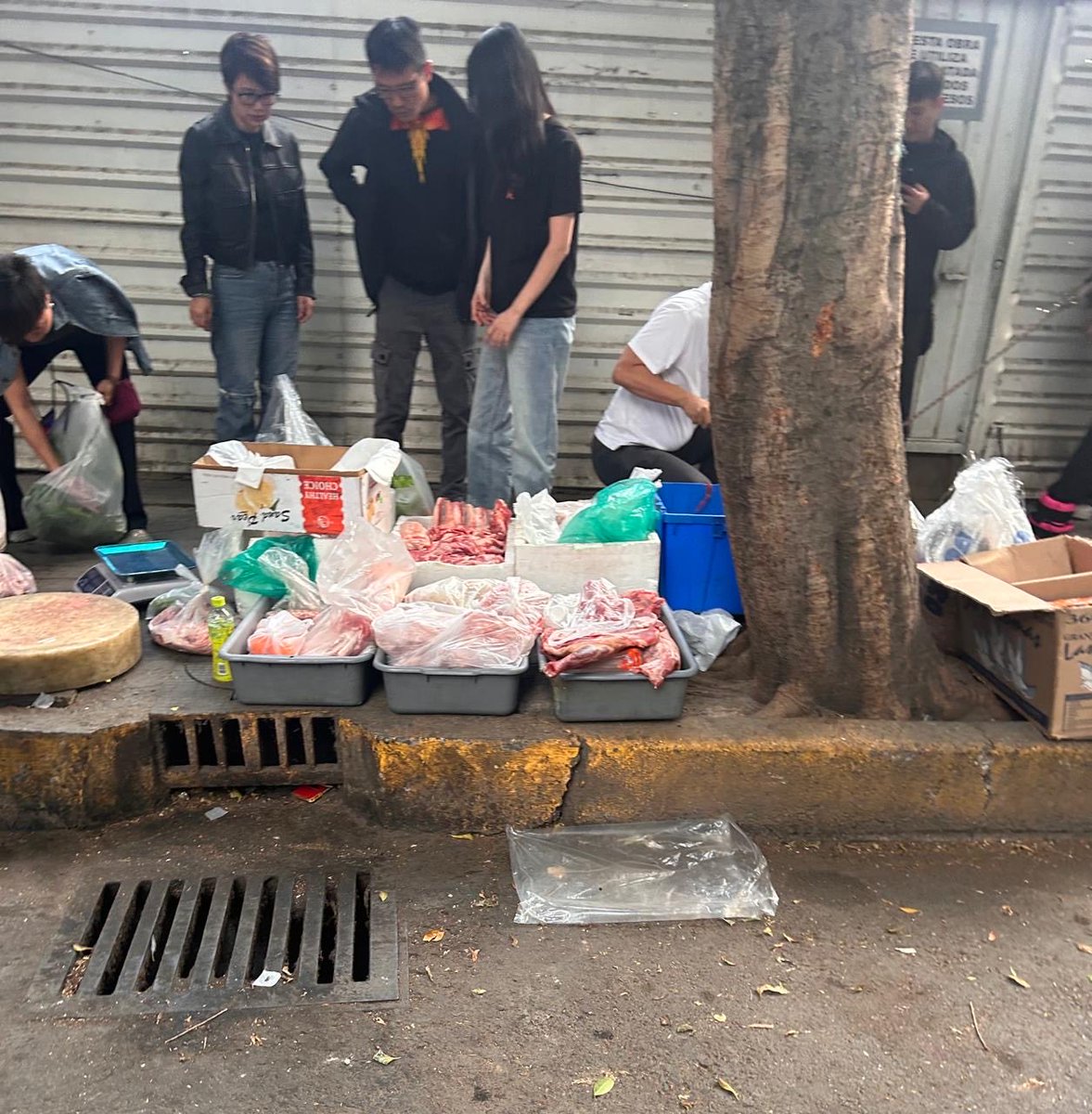 Karen Castro tweet media