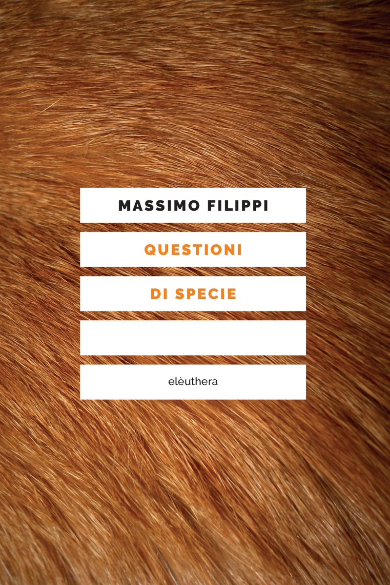 Isidro H. Cisneros tweet media