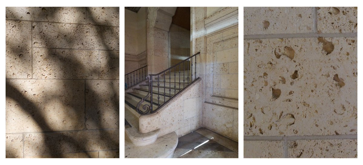 UT Austin tweet media