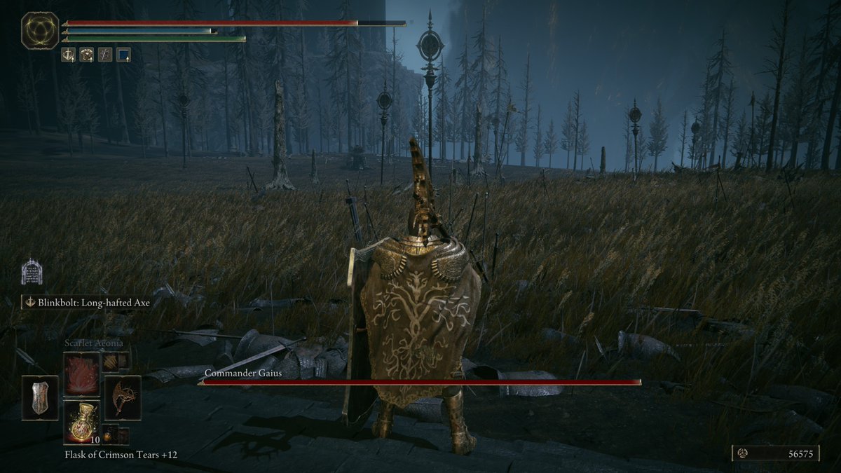 Mayhem 🦋 / Elden Ring tweet media