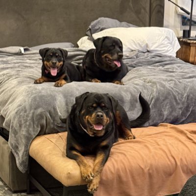 steve_tann's tweet photo. #NewProfilePic https://t.co/2Ij1sj45o7