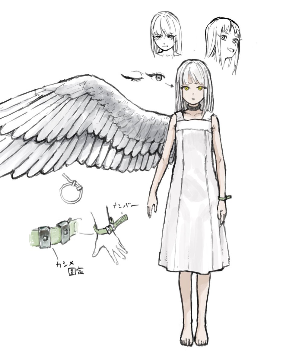 カイロ回路 tweet media