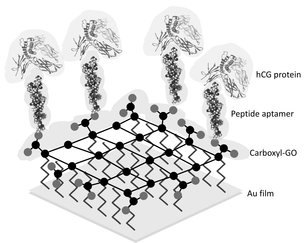 BiosensingInstrument tweet media